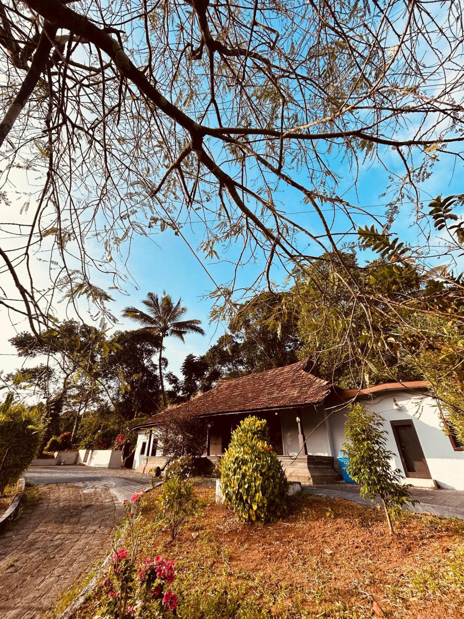 Silent House Villa Kudayattur Exteriör bild